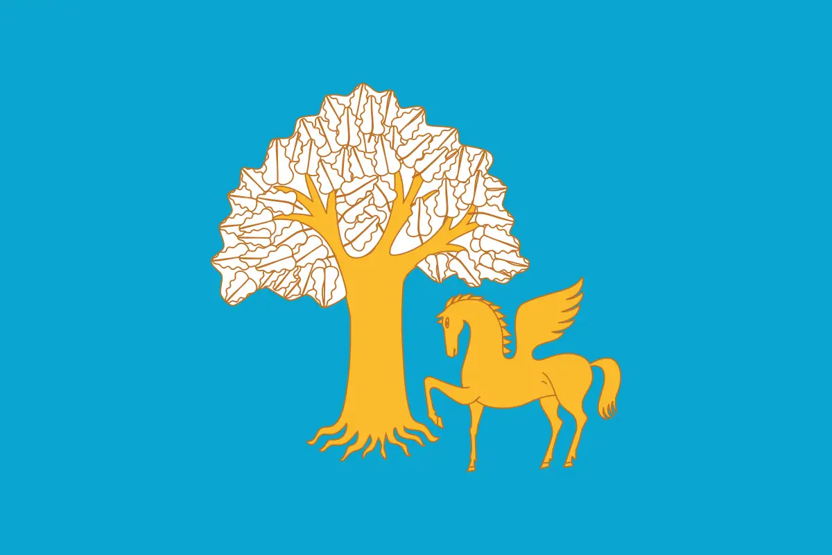 Флаг: Кигинский район